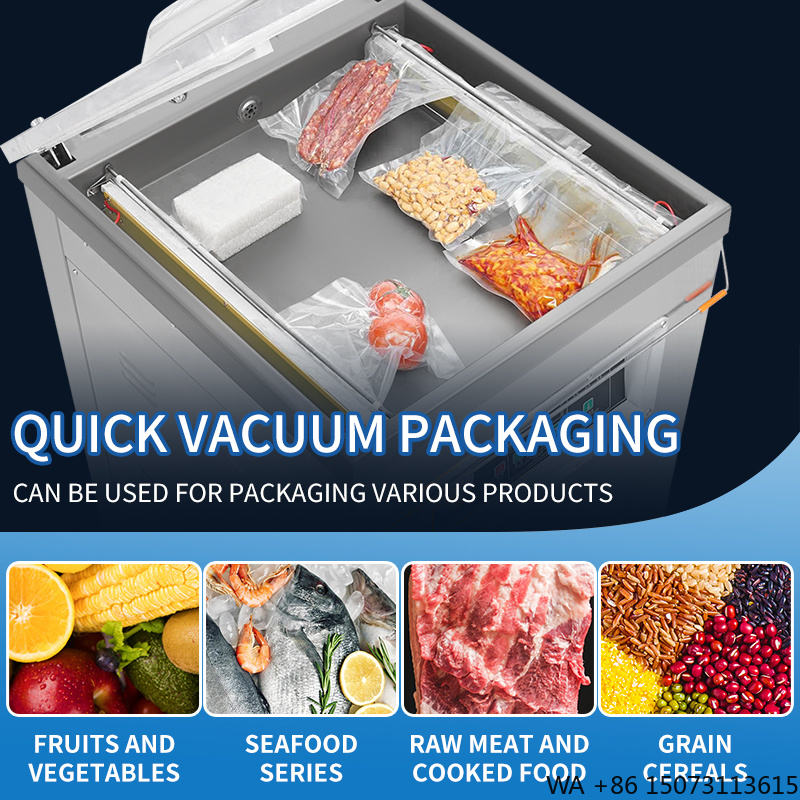 Food Vacuum Sealer - DZ-500 Dikey Tek Bölmeli Gıda Vakum